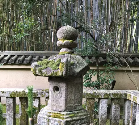 高桐院の写真・動画_image_372355