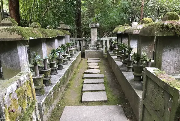 高桐院の写真・動画_image_372357