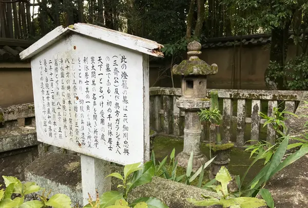 高桐院の写真・動画_image_372358