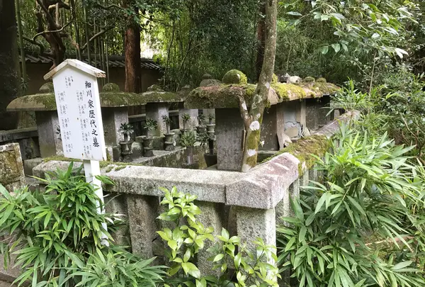 高桐院の写真・動画_image_372359