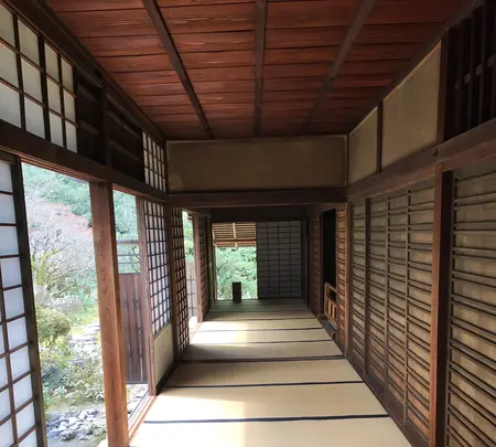 高桐院の写真・動画_image_372360