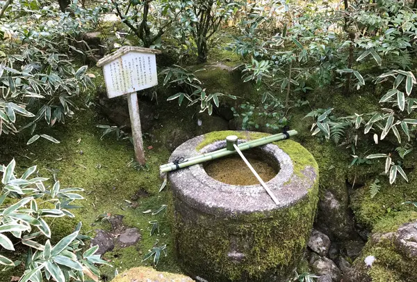高桐院の写真・動画_image_372362