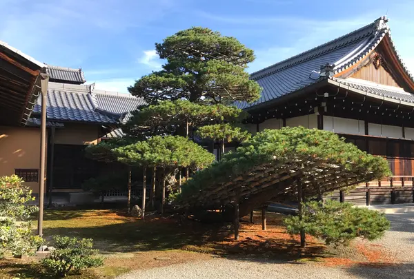 金閣寺（鹿苑寺）の写真・動画_image_372372