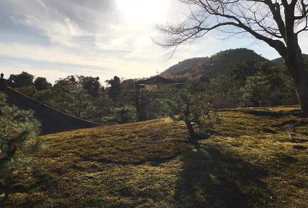 金閣寺（鹿苑寺）の写真・動画_image_372373
