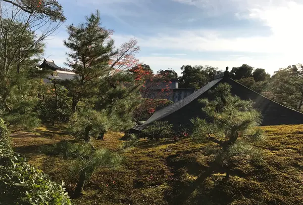 金閣寺（鹿苑寺）の写真・動画_image_372374