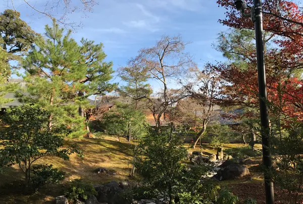 金閣寺（鹿苑寺）の写真・動画_image_372375