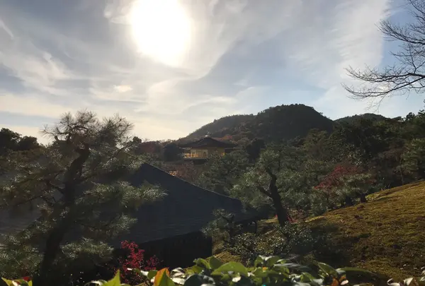 金閣寺（鹿苑寺）の写真・動画_image_372376
