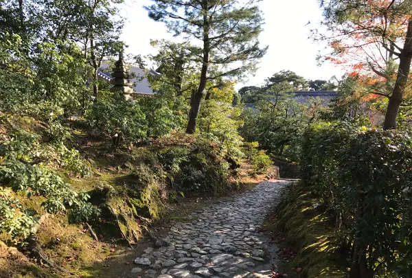 金閣寺（鹿苑寺）の写真・動画_image_372378