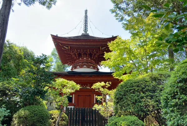 久米寺の写真・動画_image_372517