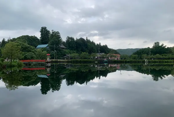 上野池の写真・動画_image_372639