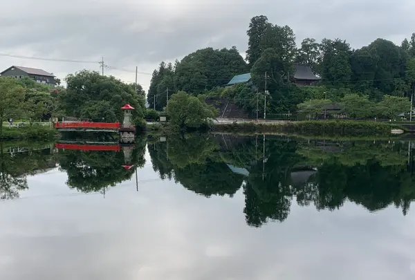 上野池の写真・動画_image_372640