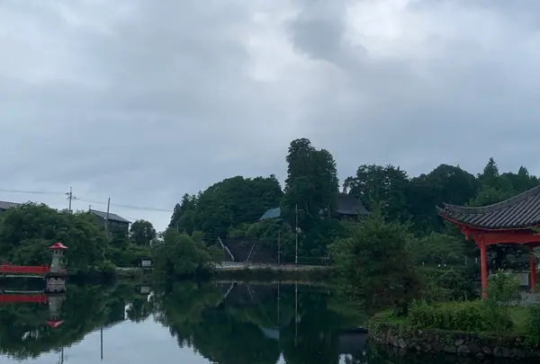 上野池の写真・動画_image_372641