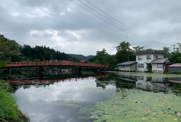 上野池の写真・動画_image_372642