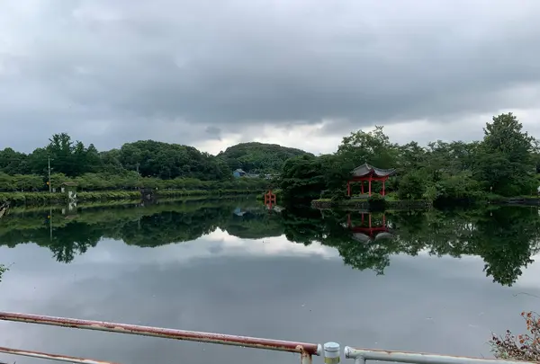 上野池の写真・動画_image_372643