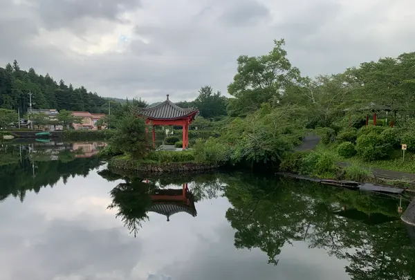 上野池の写真・動画_image_372644