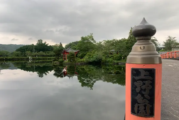 上野池の写真・動画_image_372648