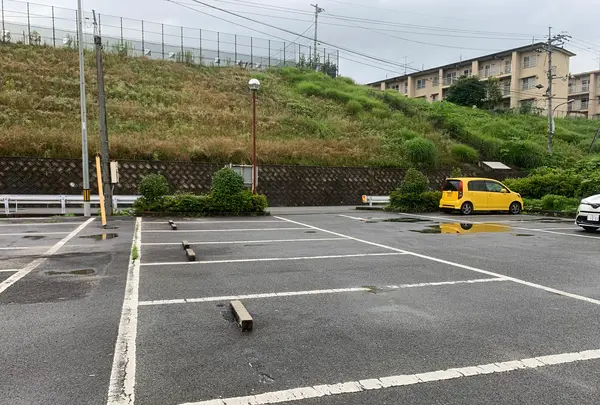 上野池の写真・動画_image_372651