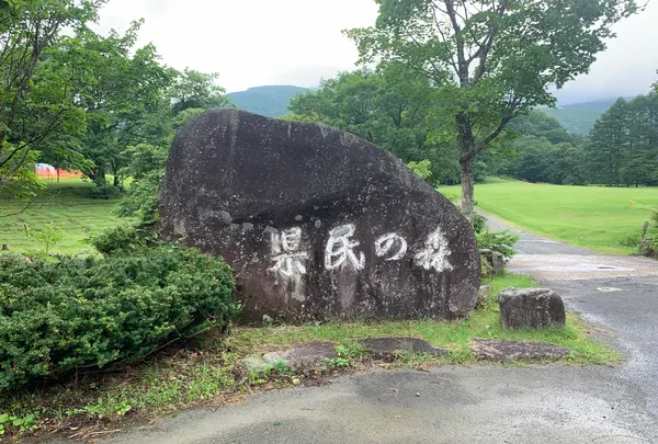 ひろしま県民の森の写真・動画_image_372673