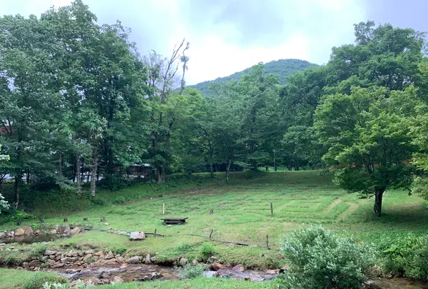 ひろしま県民の森の写真・動画_image_372674
