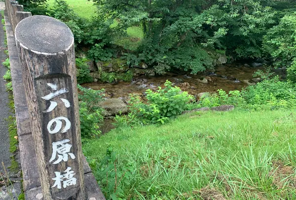 ひろしま県民の森の写真・動画_image_372678