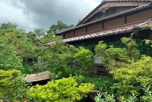 神楽門前湯治村の写真・動画_image_372762