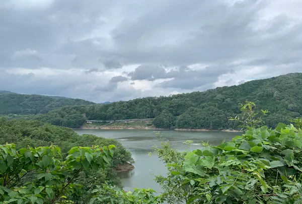 土師ダムの写真・動画_image_372767