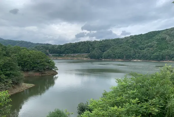 土師ダムの写真・動画_image_372768