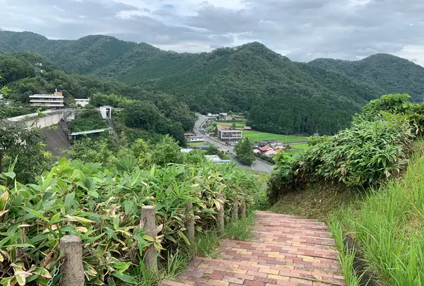 土師ダムの写真・動画_image_372773