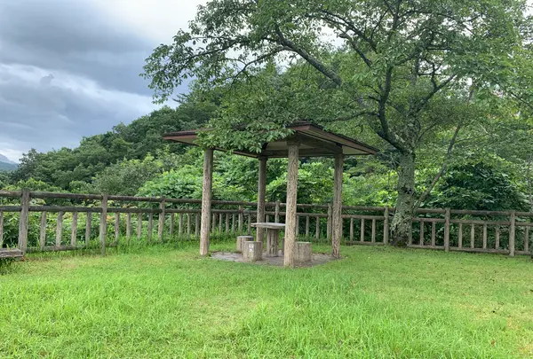 土師ダムの写真・動画_image_372774