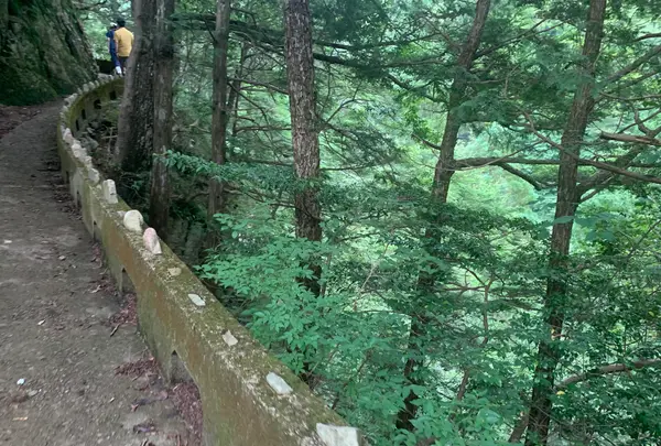 三段峡の写真・動画_image_372802