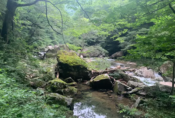 三段峡の写真・動画_image_372807