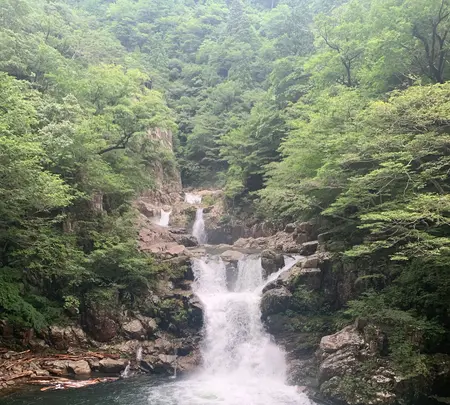 三段峡の写真・動画_image_372808