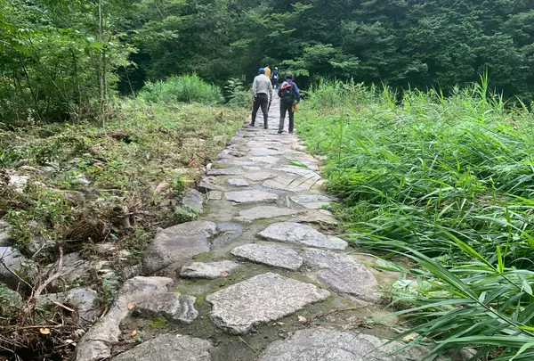 三段峡の写真・動画_image_372809