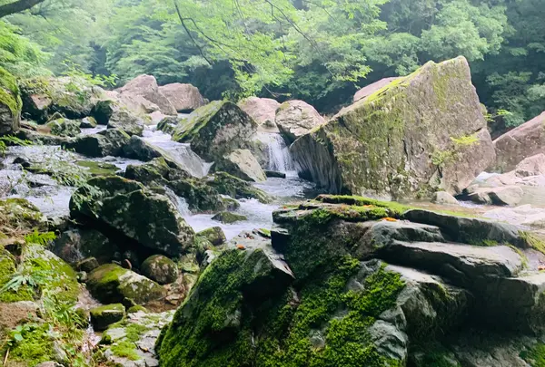 三段峡の写真・動画_image_372810