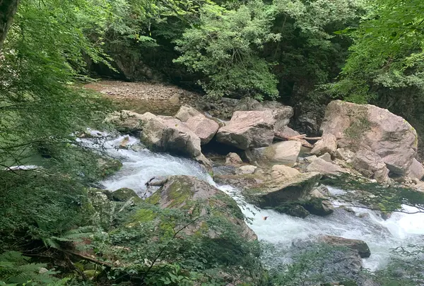 三段峡の写真・動画_image_372812