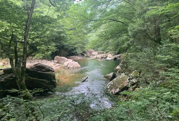 三段峡の写真・動画_image_372813