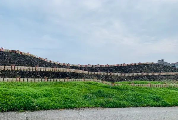 三ッ城古墳の写真・動画_image_372843