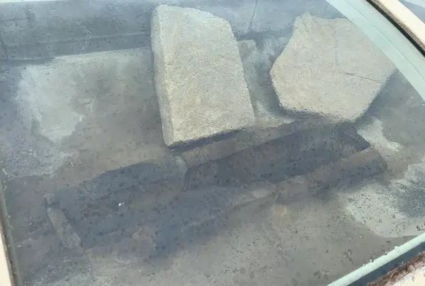 三ッ城古墳の写真・動画_image_372848