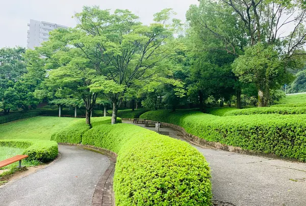 三ッ城古墳の写真・動画_image_372851