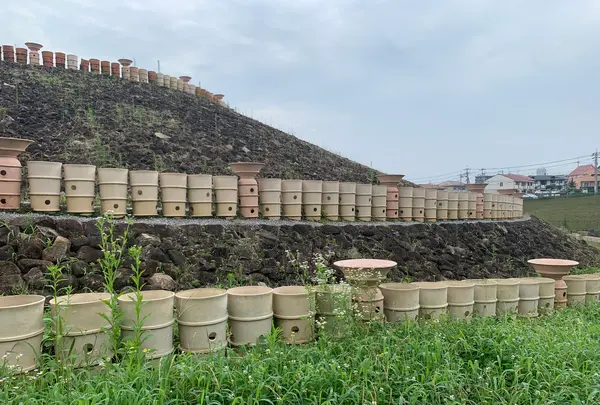 三ッ城古墳の写真・動画_image_372857