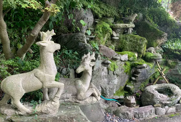 福成寺の写真・動画_image_372873