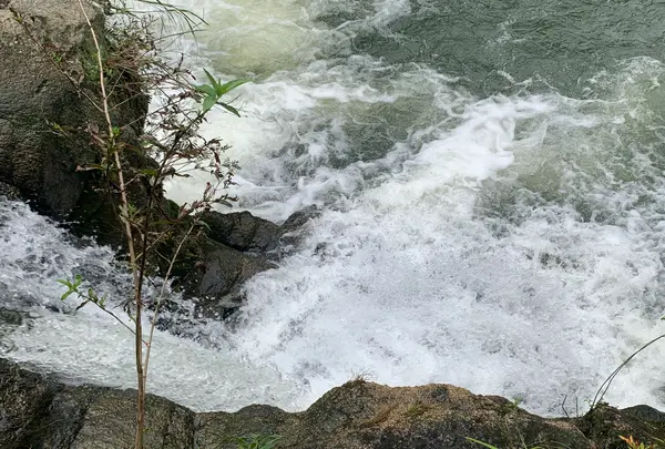 武士の滝の写真・動画_image_372894