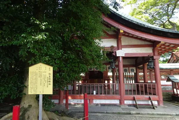 津島神社の写真・動画_image_372921