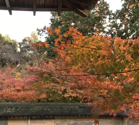 龍安寺の写真・動画_image_372976