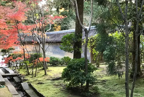 龍安寺の写真・動画_image_372978