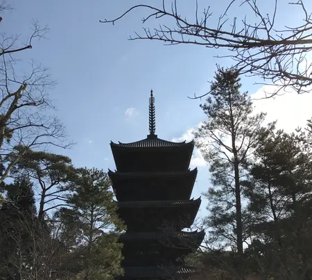 仁和寺の写真・動画_image_372981