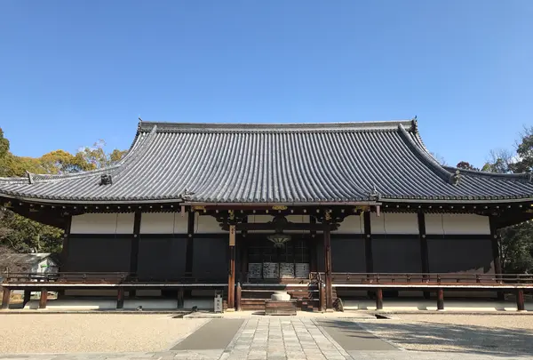 仁和寺の写真・動画_image_372983