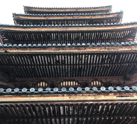 仁和寺の写真・動画_image_372985
