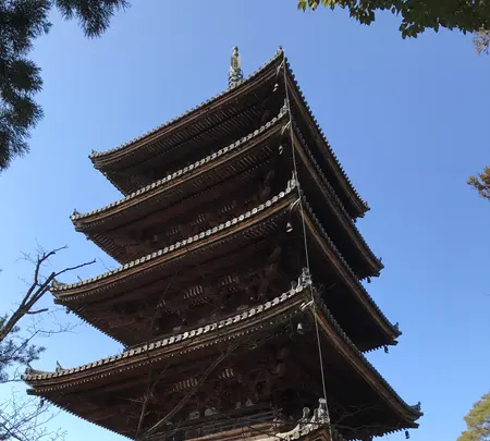 仁和寺の写真・動画_image_372986