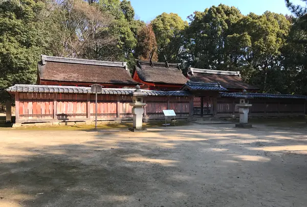 仁和寺の写真・動画_image_372987